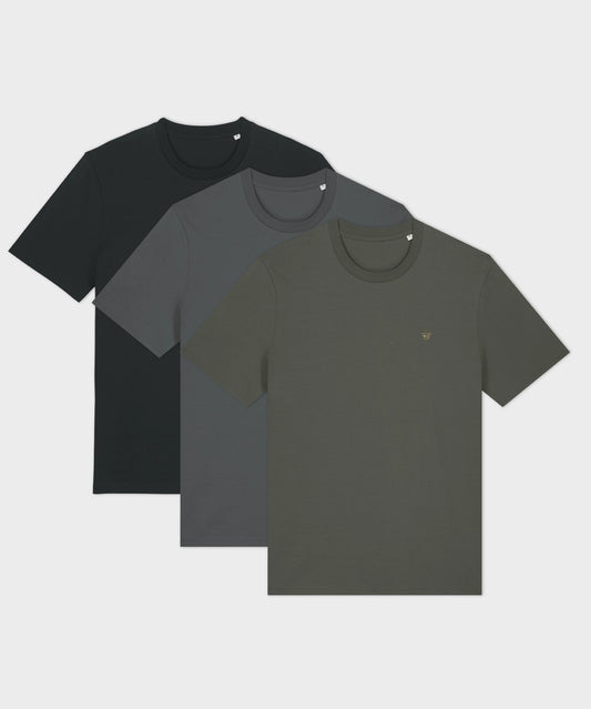 Colour Crew Neck T-Shirt 3-Pack